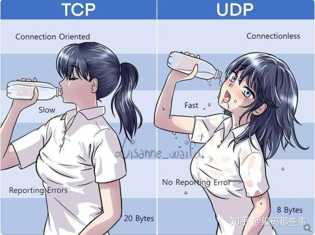 tcp-udp-meme